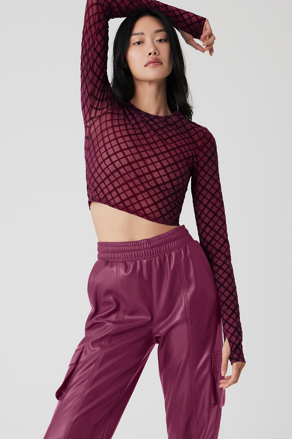 Mesh Plaid Cropped Long Sleeve Top - Wild Berry - Wild Berry / XS